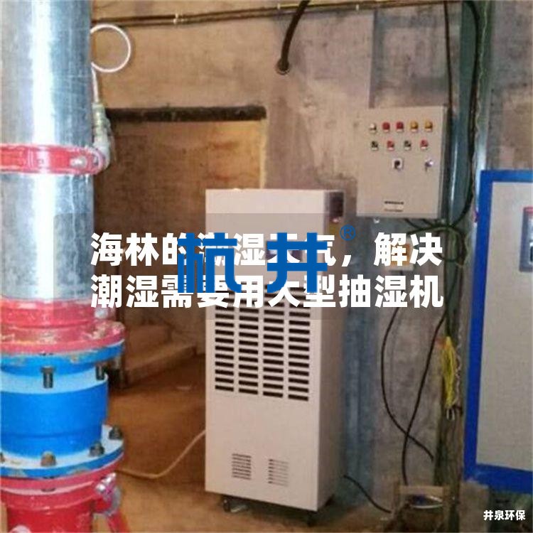 海林的潮濕天氣，解決潮濕需要用大型抽濕機(jī)